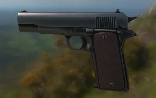 Combat Handgun